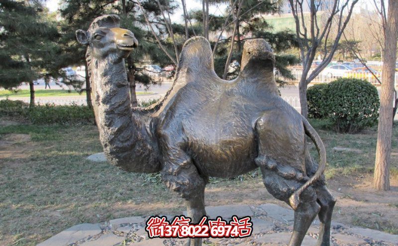 創(chuàng)意大型玻璃鋼駱駝雕塑，在草地上擺放，一眼回頭