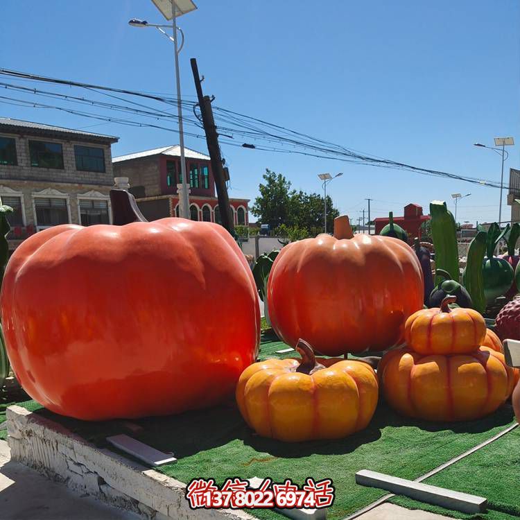 美麗鄉村，收獲美食——南瓜種植示范農場